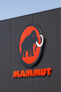 Symbolfoto Mammut