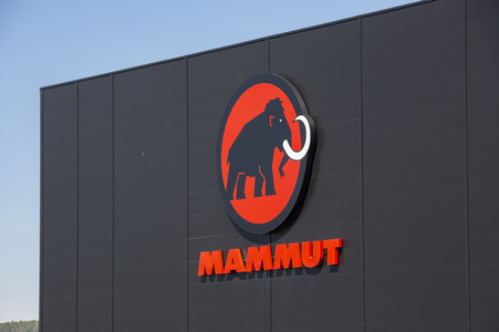 Symbolfoto Mammut