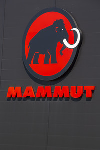 Symbolfoto Mammut