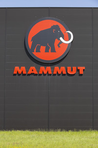 Symbolfoto Mammut