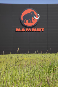 Symbolfoto Mammut