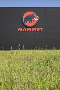 Symbolfoto Mammut