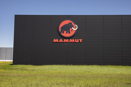 Symbolfoto Mammut