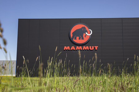 Symbolfoto Mammut