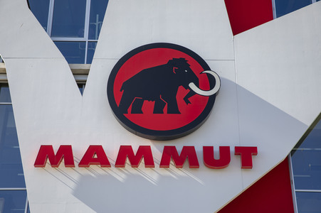 Symbolfoto Mammut