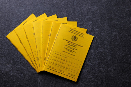 Symbolfoto Impfpässe