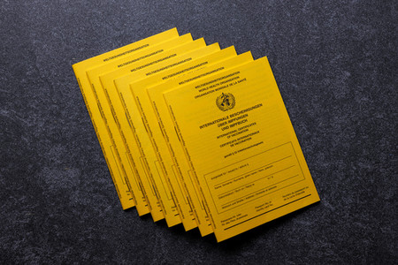 Symbolfoto Impfpässe