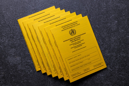 Symbolfoto Impfpässe