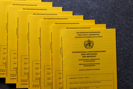 Symbolfoto Impfpässe
