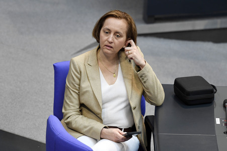 233. Sitzung des Deutschen Bundestages in Berlin