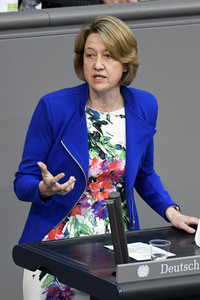 233. Sitzung des Deutschen Bundestages in Berlin