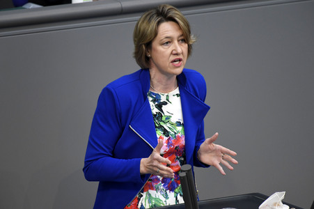 233. Sitzung des Deutschen Bundestages in Berlin