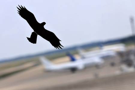 Symbolfoto Köln Bonn Airport
