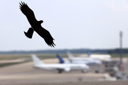 Symbolfoto Köln Bonn Airport