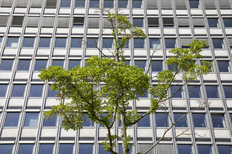 Regierungssitz und Bundesviertel in Bonn