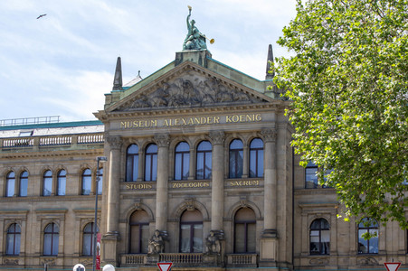 Regierungssitz und Bundesviertel in Bonn