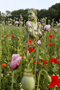 NATURE ART: Mohnfeld / Poppy Field Bodypainting