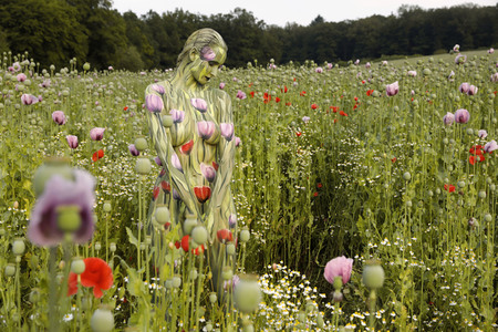 NATURE ART: Mohnfeld / Poppy Field Bodypainting