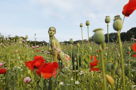 NATURE ART: Mohnfeld / Poppy Field Bodypainting