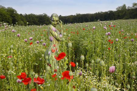 NATURE ART: Mohnfeld / Poppy Field Bodypainting