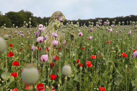 NATURE ART: Mohnfeld / Poppy Field Bodypainting
