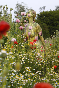 NATURE ART: Mohnfeld / Poppy Field Bodypainting