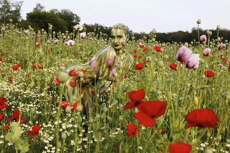NATURE ART: Mohnfeld / Poppy Field Bodypainting