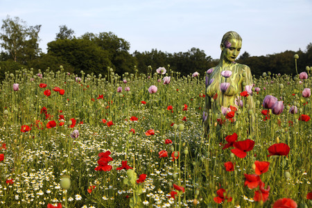 NATURE ART: Mohnfeld / Poppy Field Bodypainting
