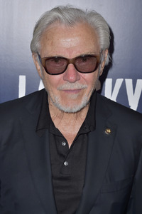 Filmpremiere 'Lansky' in Los Angeles