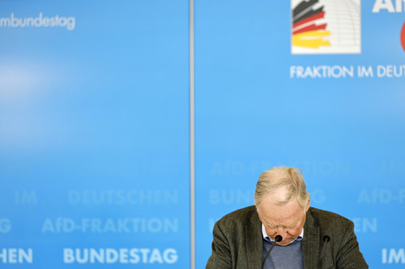 Pressestatement der AfD in Berlin