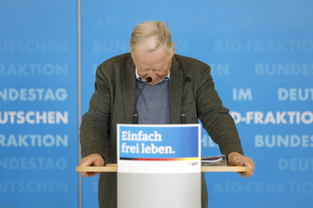 Pressestatement der AfD in Berlin