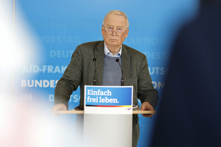 Pressestatement der AfD in Berlin