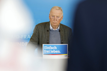 Pressestatement der AfD in Berlin