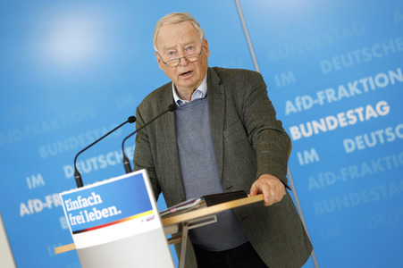 Pressestatement der AfD in Berlin