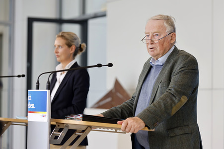 Pressestatement der AfD in Berlin