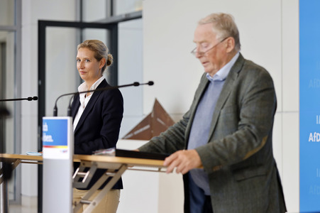 Pressestatement der AfD in Berlin