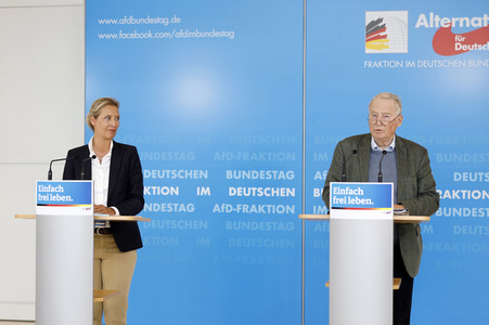 Pressestatement der AfD in Berlin