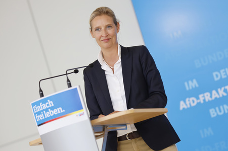 Pressestatement der AfD in Berlin