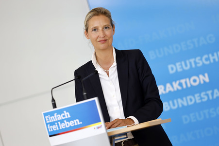 Pressestatement der AfD in Berlin