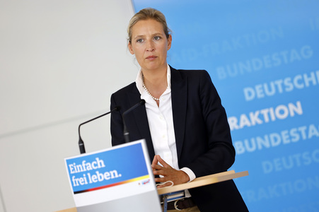 Pressestatement der AfD in Berlin