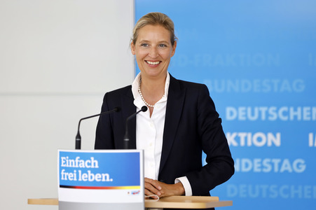 Pressestatement der AfD in Berlin
