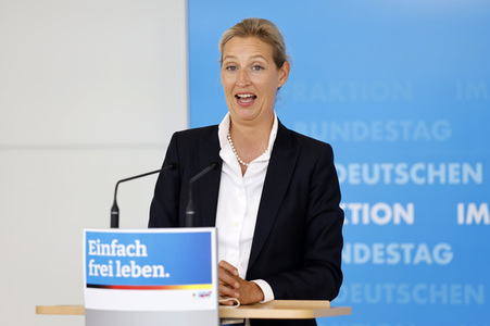 Pressestatement der AfD in Berlin