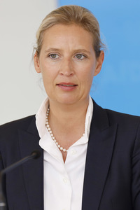 Pressestatement der AfD in Berlin