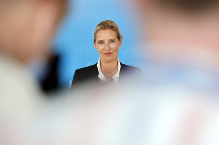 Pressestatement der AfD in Berlin