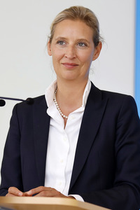 Pressestatement der AfD in Berlin