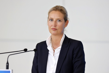 Pressestatement der AfD in Berlin