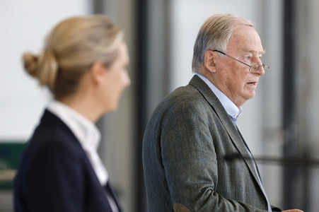Pressestatement der AfD in Berlin