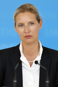 Pressestatement der AfD in Berlin
