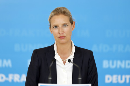 Pressestatement der AfD in Berlin