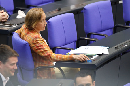 235. Sitzung des Deutschen Bundestages in Berlin